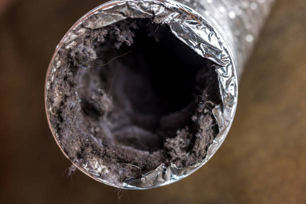Best Professional Duct Cleaning Services  in Carthage, MO